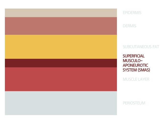 SMAS layer