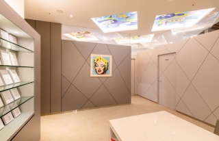 VIP Plastic Surgery | Reception area